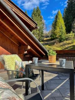 Maibrunn apartment Dali, ski-in&out - 7