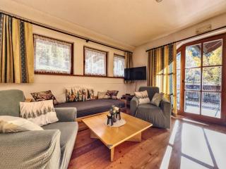 Maibrunn apartment Dali, ski-in&out - 5