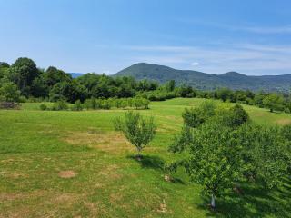 Guesthouse Zafran - 4