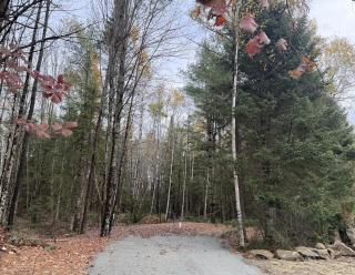 Balsam Fir Mirror House at FarAway Pond - 3