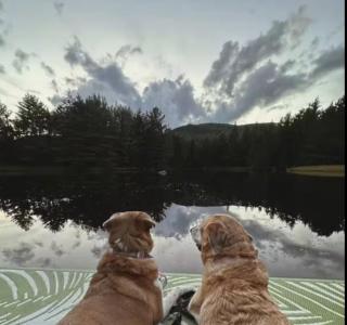 Balsam Fir Mirror House at FarAway Pond - 2