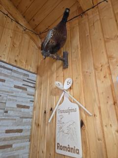 Cabana Montis River - 6