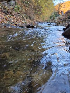 Cabana Montis River - 5