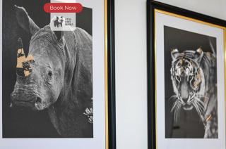 Jungle King Suite with Parking - 1