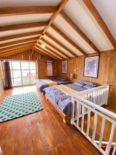 Padang cabin dieng - 7