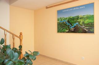 Guesthouse Zafran - Smoljanac - 1