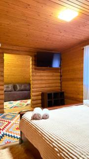 Drozdovichi Resort - 1