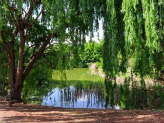 The Nugget Guest Lodge - 0