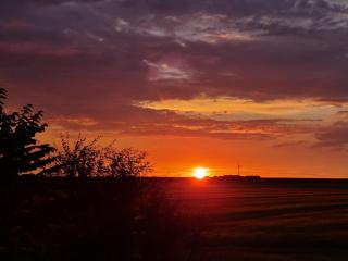 Schardeichhof Meyer - 2