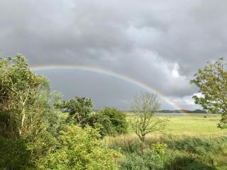 Schardeichhof Meyer - 3