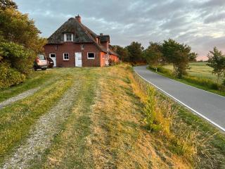 Schardeichhof Meyer - 9