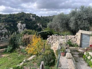 La Rosa dei Monti Iblei - 2