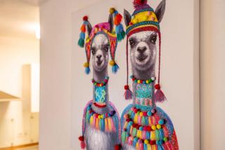 Aposto Apartments 1 - 8