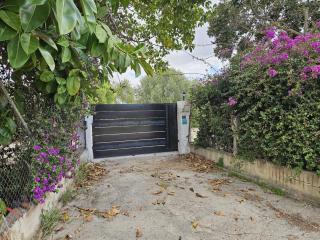 Es Molí de'n Palmer - 4