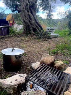 La Rosa dei Monti Iblei - 5