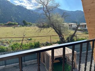 Borjomi-sadgeri comfort - Borjomi - 2