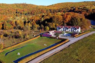 Pallos Apartments - 6