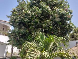 Premium Villa in Ngaparou between Saly Somone - 4