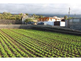 Apartamento las Viñas 1 - 9