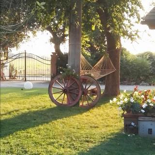 Podere le Sugherine - 9