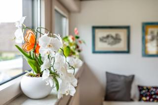 Appartment Andrea - 9