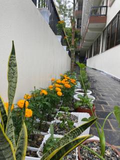 Tiffin Home and Restaurant - 7