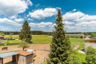 Ferienhaus St Georg Stube - 7