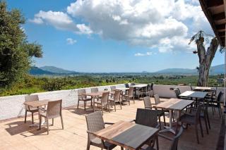 Zante View Family Studio 1 - 9