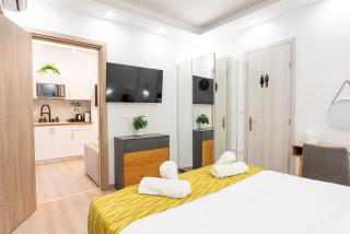 Athens Luxury Penthouse - 1