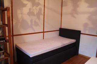 Wohnen im alten Bauernhaus - 1