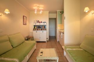 Restanques de Saint Tropez - arums - Grimaud - 5