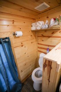 New Custom Tiny Home Retreat with Bunnies, Chickens and Goat - 3