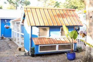 New Custom Tiny Home Retreat with Bunnies, Chickens and Goat - 1
