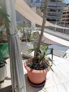 Roof Top appartement with huge Terrace - 3