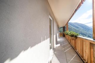 Sonnleiten Sonnenparadies - 9