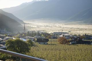 Waalhof Ferienwohnung Apfelblüte - 2