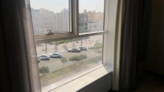 شركة الصنوبرة الفندقية فندق Pine In - 1