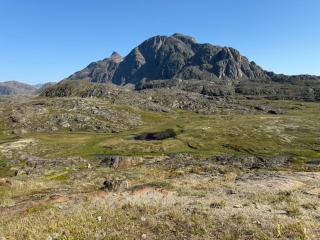 Seperat lejlighed i stueetage - 9