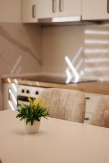 S Lux Center Suites - 1