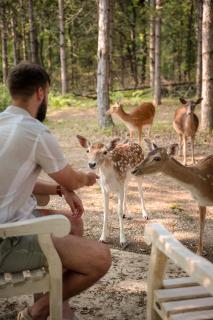 Domaine de Pech et Lafon Cabanes avec SPA privatif dans les arbres - 1