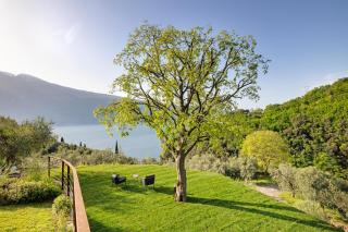 Ca’ Scaì Agrifugium Olivia - 7