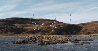 Luxury House on Private Island, Isle of Skye - 5