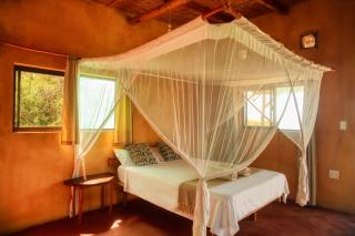 Tree House Cottage, Ocean View - 5