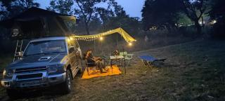 Tribal Wood Resort - 9