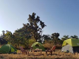 Tribal Wood Resort - 8