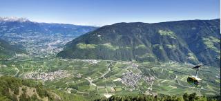 Schnitzer Ferienwohnung Enzian - 7