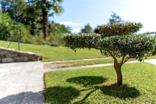 Residenza Jasmine Yellow Apartment - 8