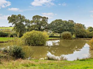 1 Bed in St. Giles-on-the-Heath 96333 - 1