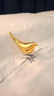 Azure Studio by Dove - 6