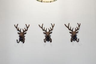 Charming Central Stay - 5